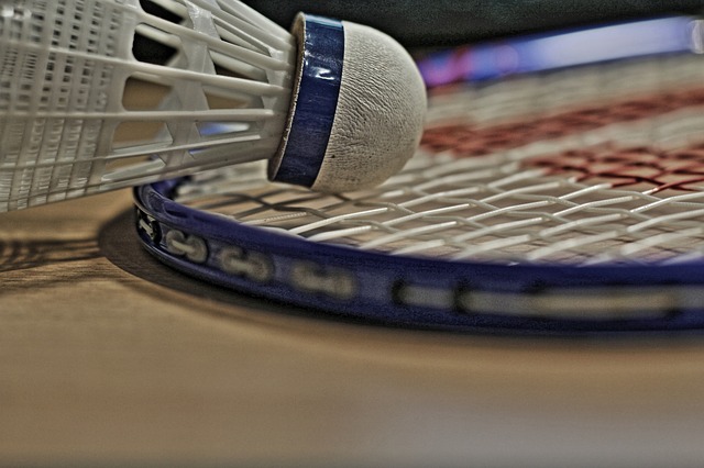 Aktivitaeten Badminton